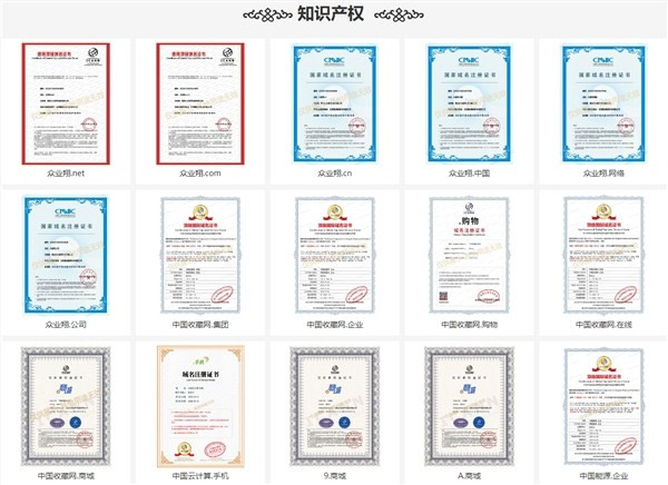 数字知识产权时代,中文域名价值可pk商标(图2) 资讯配图