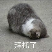 拒绝 rem 计算!Vue3 大屏适配,我是这样做的(图2) 拒绝 rem 计算!Vue3 大屏适配,我是这样做的(图2)