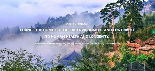 让世界闻到香杉的味道,「广西壮象木业」数字化出海之路(图2) 让世界闻到香杉的味道,「广西壮象木业」数字化出海之路(图2)