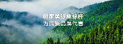 让世界闻到香杉的味道,「广西壮象木业」数字化出海之路(图4) 让世界闻到香杉的味道,「广西壮象木业」数字化出海之路(图4)