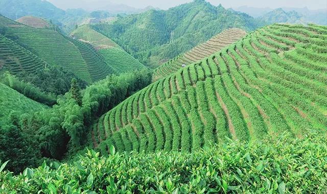 中迈电缆如何在多个搜索超1亿的关键词下冲击到首页(图1) 中迈电缆如何在多个搜索超1亿的关键词下冲击到首页(图1)