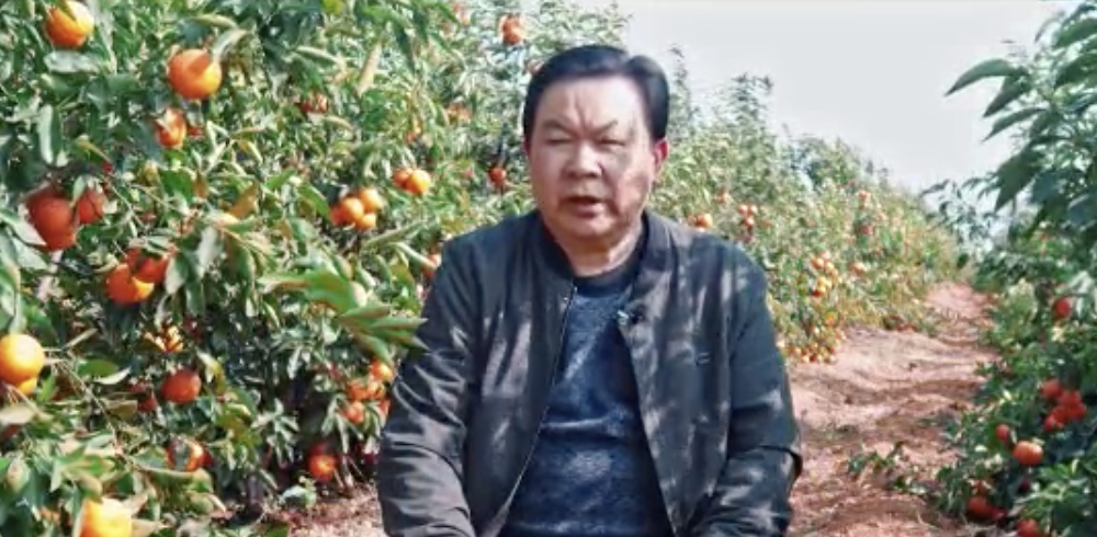 中迈电缆如何在多个搜索超1亿的关键词下冲击到首页(图2) 中迈电缆如何在多个搜索超1亿的关键词下冲击到首页(图2)