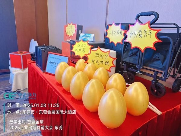「数字出海 智赢全球」2025企业出海营销大会——东莞站 圆满落幕!(图9) 「数字出海 智赢全球」2025企业出海营销大会——东莞站 圆满落幕!(图9)