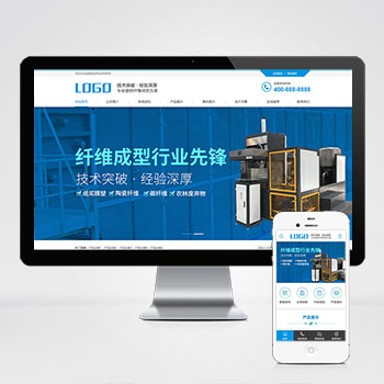 品牌网站建设公司