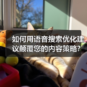 如何用语音搜索优化建议颠覆您的内容策略？（图3）
