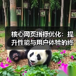 核心网页指标优化：提升性能与用户体验的终极秘籍（图4）