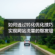 如何通过转化优化技巧实现网站流量的爆发增长(图4) 如何通过转化优化技巧实现网站流量的爆发增长(图4)