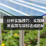 分析实施技巧：实现精准追踪与目标达成的秘诀（图4）