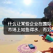 什么让某些企业在国际市场上如鱼得水,而另一些却屡屡碰壁?实践证明,**国际SEO最佳实践**和**多语言区域化策略**是决定胜负的关键。从区域到语言的细节处理,(图3) 什么让某些企业在国际市场上如鱼得水,而另一些却屡屡碰壁?实践证明,**国际SEO最佳实践**和**多语言区域化策略**是决定胜负的关键。从区域到语言的细节处理,(图3)