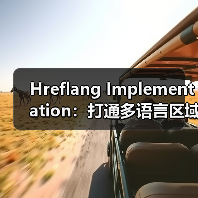 Hreflang Implementation：打通多语言区域的精准通路