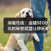 突破传统:连续SEO优化的秘密武器让你长期成功(图3) 突破传统:连续SEO优化的秘密武器让你长期成功(图3)