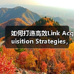 如何打造高效Link Acquisition Strategies，外链建设与关系培养的秘密武器