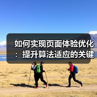 如何实现页面体验优化:提升算法适应的关键策略(图4) 如何实现页面体验优化:提升算法适应的关键策略(图4)