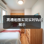 高德地图实现实时轨迹展示（图2）