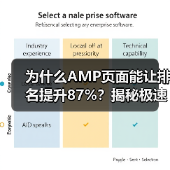 为什么AMP页面能让排名提升87%？揭秘极速加载背后那些鲜为人知的秘密（图2）
