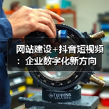 网站建设+抖音短视频：企业数字化新方向