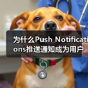 为什么Push Notifications推送通知成为用户重新参与的秘密武器？