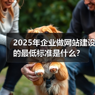 2025年企业做网站建设的最低标准是什么？