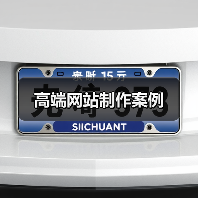 高端网站制作案例