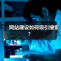 网站建设如何吸引搜索?(图2) 网站建设如何吸引搜索?(图2)
