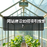 网站建设如何吸引搜索?(图3) 网站建设如何吸引搜索?(图3)