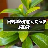 网站建设中的可持续发展趋势(图4) 网站建设中的可持续发展趋势(图4)