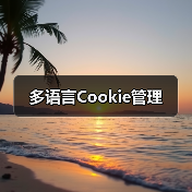 多语言Cookie管理（图2）