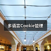 多语言Cookie管理（图3）