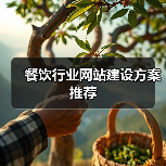 餐饮行业网站建设方案推荐