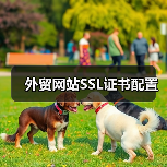 外贸网站SSL证书配置(图3) 外贸网站SSL证书配置(图3)