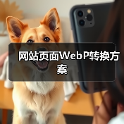 网站页面WebP转换方案(图2) 网站页面WebP转换方案(图2)