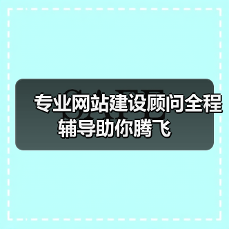专业网站建设顾问全程辅导助你腾飞