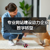 专业网站建设助力企业数字转型