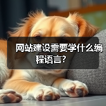 网站建设需要学什么编程语言？