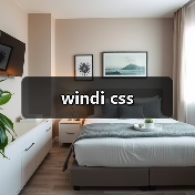 windi css（图4）