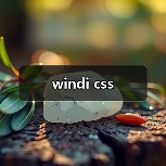 windi css（图3）