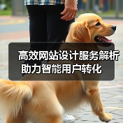 高效网站设计服务解析助力智能用户转化