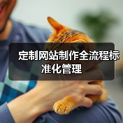 定制网站制作全流程标准化管理