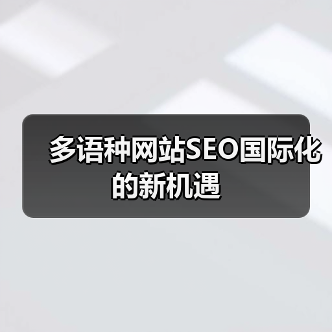 多语种网站SEO国际化的新机遇(图4) 多语种网站SEO国际化的新机遇(图4)