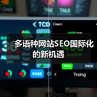 多语种网站SEO国际化的新机遇(图3) 多语种网站SEO国际化的新机遇(图3)