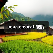 mac navicat 破解（图3）