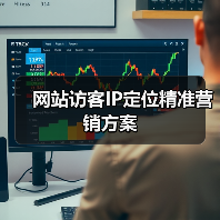 网站访客IP定位精准营销方案(图1) 网站访客IP定位精准营销方案(图1)