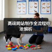 高端网站制作全流程标准解析(图1) 高端网站制作全流程标准解析(图1)