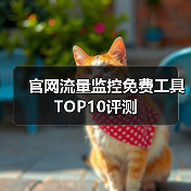 官网流量监控免费工具TOP10评测(图1) 官网流量监控免费工具TOP10评测(图1)