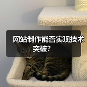 网站制作能否实现技术突破?(图3) 网站制作能否实现技术突破?(图3)