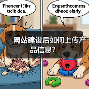 网站建设后如何上传产品信息？