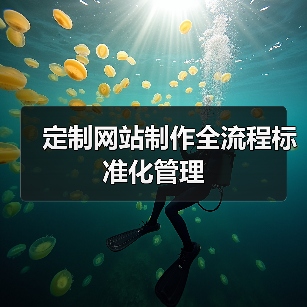 定制网站制作全流程标准化管理(图2) 定制网站制作全流程标准化管理(图2)
