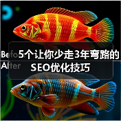 5个让你少走3年弯路的SEO优化技巧(图2) 5个让你少走3年弯路的SEO优化技巧(图2)