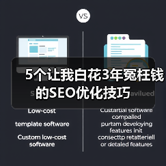 5个让我白花3年冤枉钱的SEO优化技巧(图4) 5个让我白花3年冤枉钱的SEO优化技巧(图4)