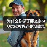 为什么你学了那么多SEO优化教程还是没效果？（图2）